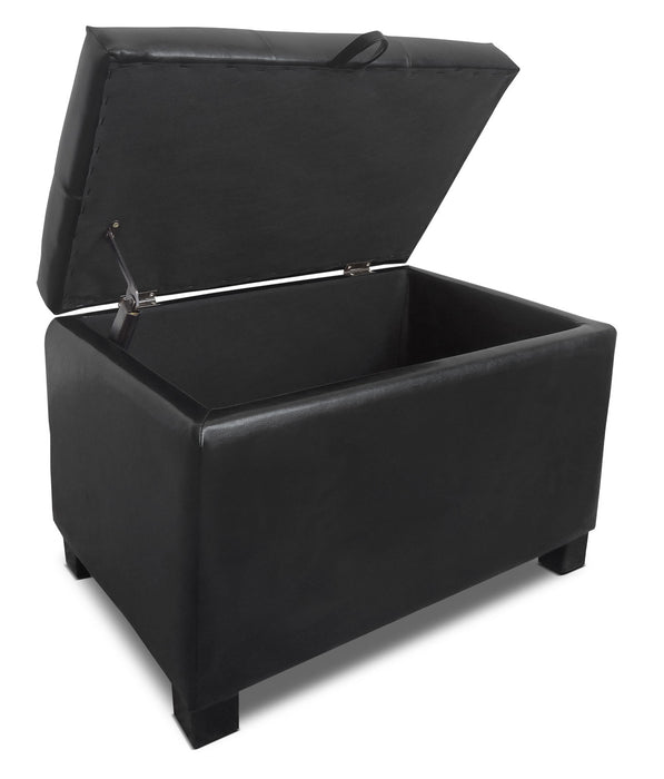 Pouf de rangement Isabela de 23 po