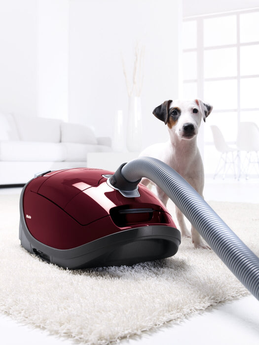 Aspirateur-traîneau Miele Complete C3 - 41GDE040CDN