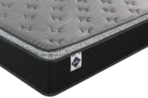 Matelas dans une boîte à plateau-coussin Sage de Springwall pour lit double