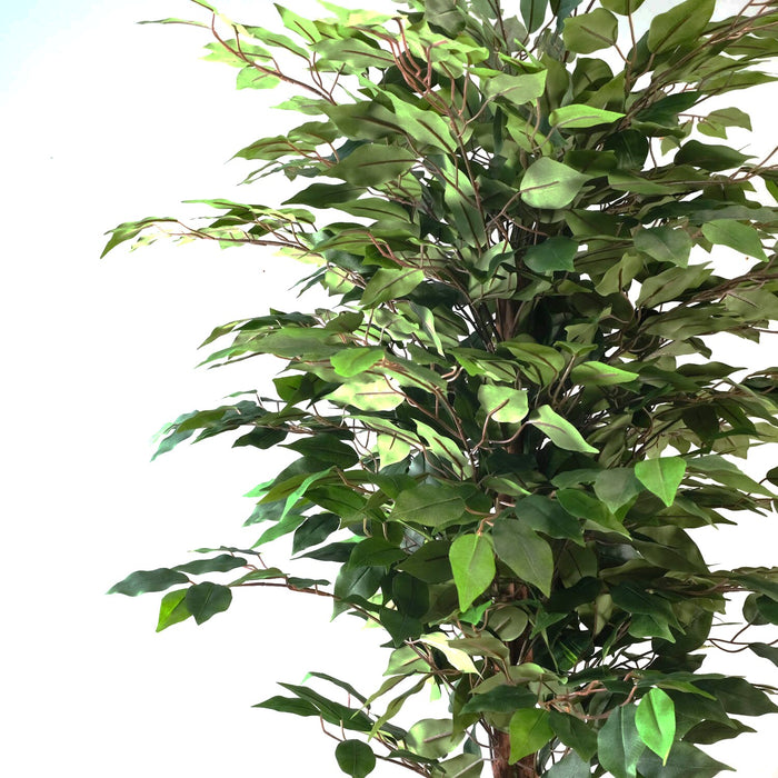 Plante artificielle Ficus altissima 60 po