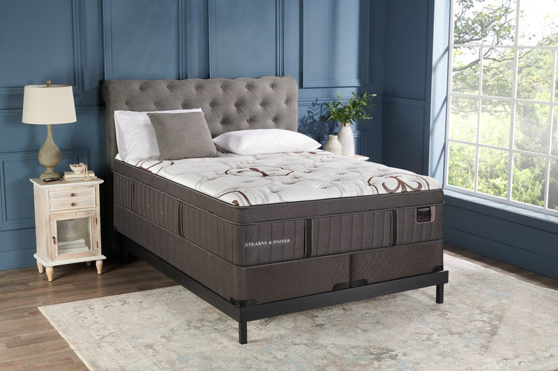 Ensemble à Euro-plateau Cardiff City collection Founders de Stearns & Foster pour très grand lit