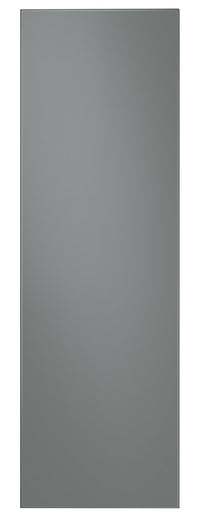  Panneau pour réfrigérateur ou congélateur colonne à 1 porte Bespoke de Samsung - RA-R23DAA31/AA 