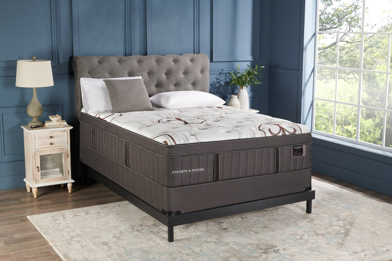 Ensemble à Euro-plateau Cardiff City collection Founders de Stearns & Foster pour grand lit