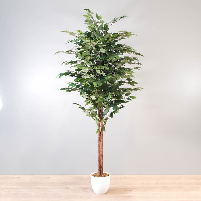 Plante artificielle Ficus altissima 60 po
