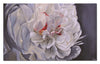 Élégance florale - 36 po x 60 po