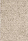 Carpette contemporaine à poil long - 5 pi x 8 pi