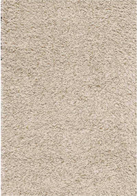 Carpette contemporaine à poil long - 5 pi x 8 pi