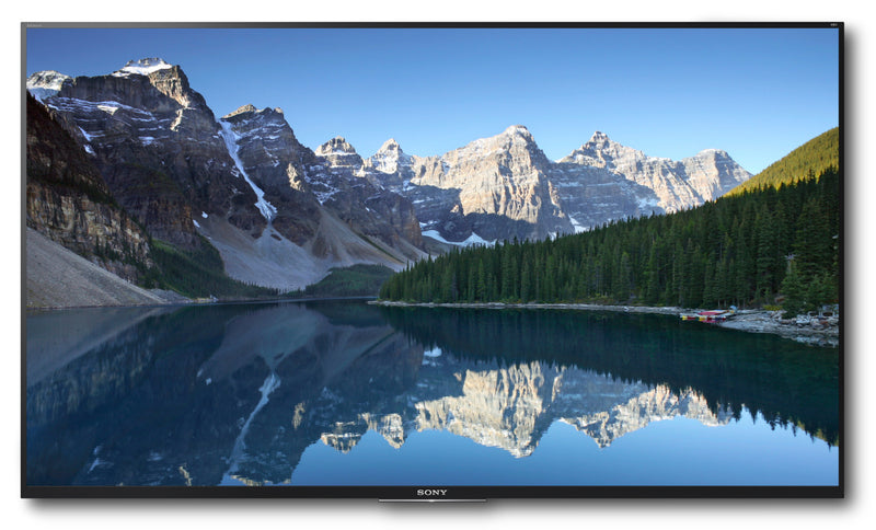 Téléviseur DEL Sony de série X800E UHD 4K de 43 po avec Android TV